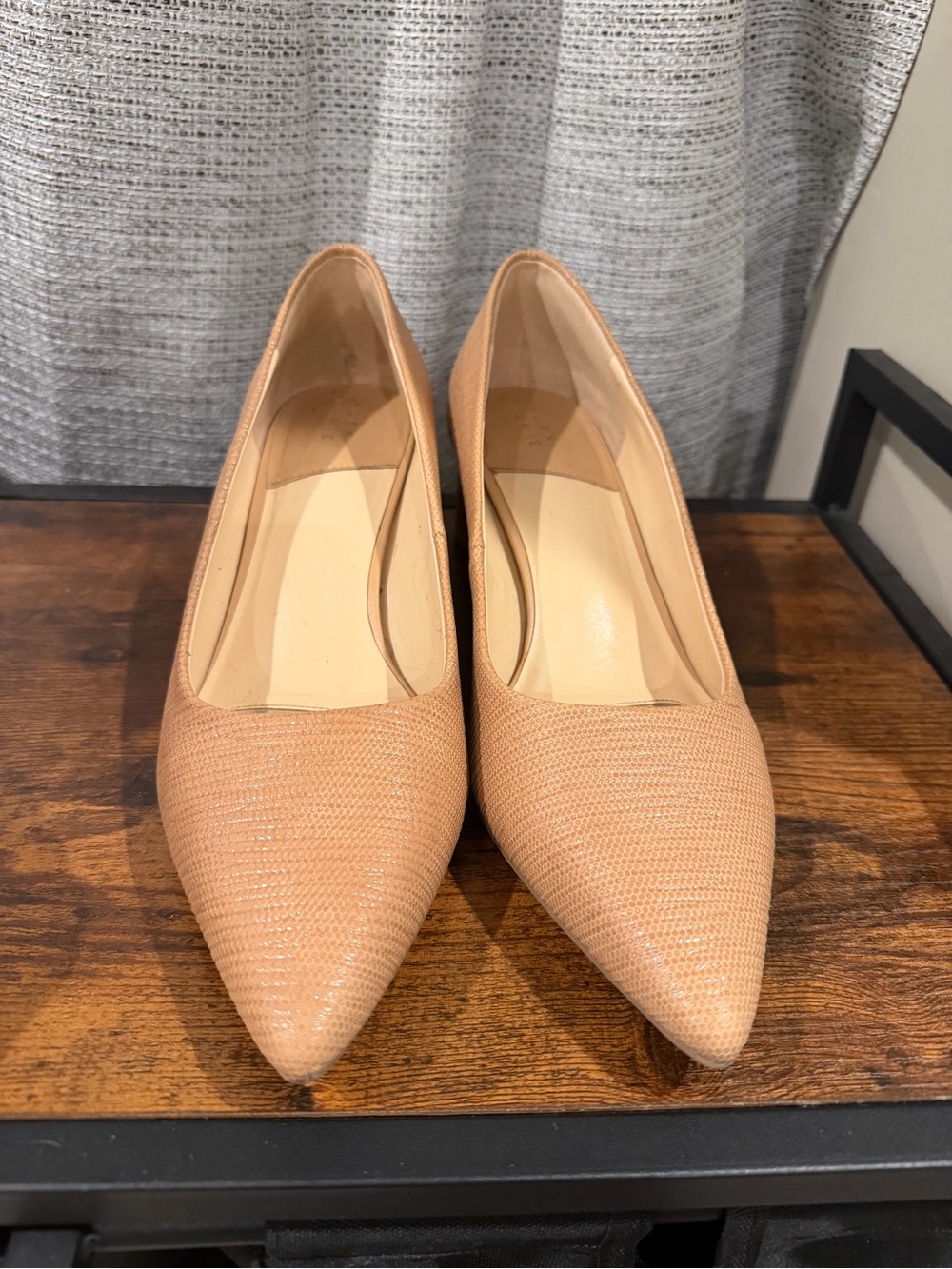 Alex Marie Pointed Toe Nude Textured Pumps